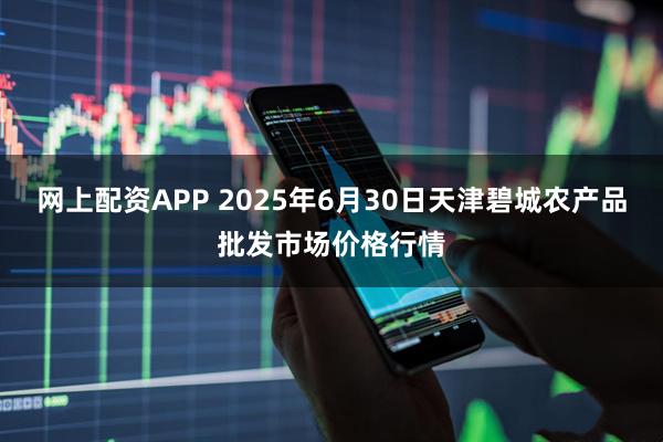 网上配资APP 2025年6月30日天津碧城农产品批发市场价格行情