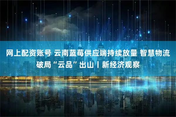网上配资账号 云南蓝莓供应端持续放量 智慧物流破局“云品”出山丨新经济观察