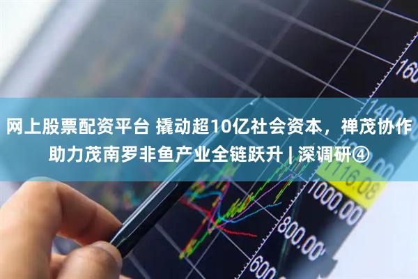 网上股票配资平台 撬动超10亿社会资本，禅茂协作助力茂南罗非鱼产业全链跃升 | 深调研④